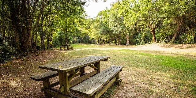 Aire de pique-nique Sauvaget à Pissotte - Forêt de Mervent - Fontenay-Vendée