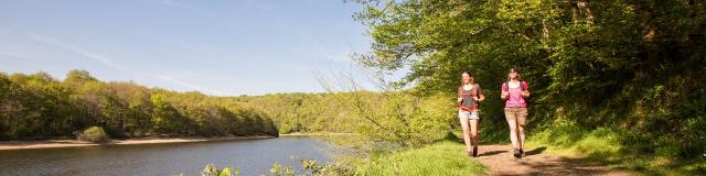 Randonnée pédestre au bord du lac de la forêt de Mervent - Fontenay-Vendée