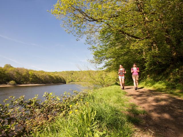 Randonnée pédestre au bord du lac de la forêt de Mervent - Fontenay-Vendée