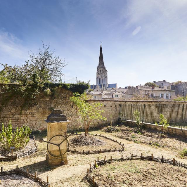 Parc Baron Fontenay-le-Comte - Jardin médiéval