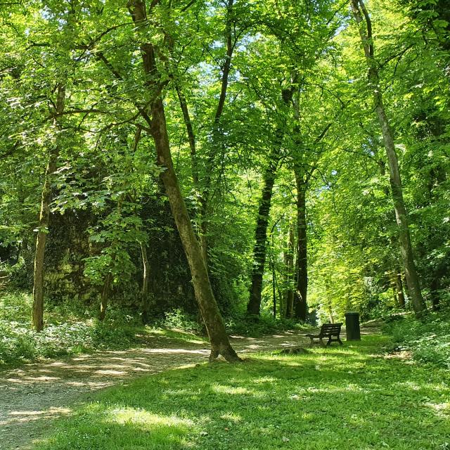 Parc Baron Fontenay-le-Comte - intérieur du parc