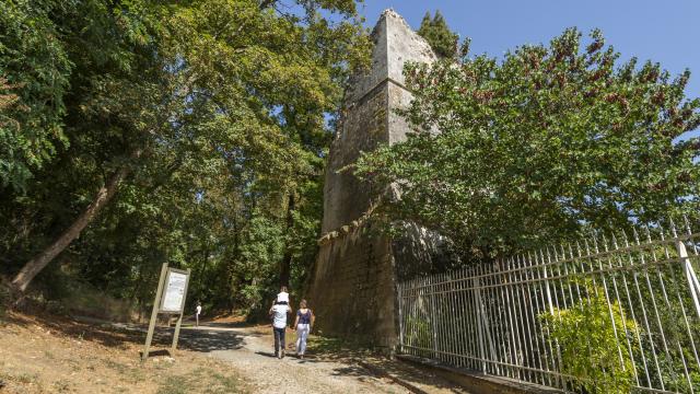 Parc Baron Fontenay-le-Comte - parc en famille