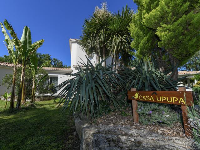 Chambre d'hôtes Casa Upupa - Fontenay-Vendée - 85