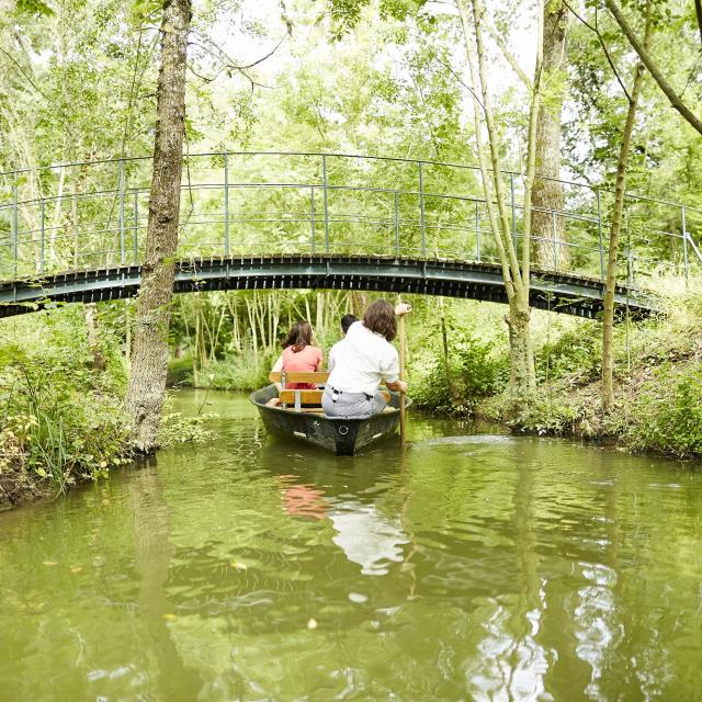 Balade en barque Marais poitevin