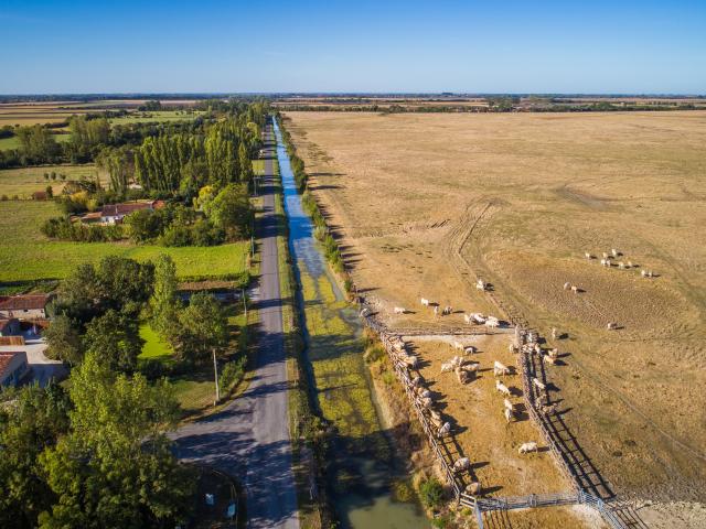 Communal Poiré-sur-Velluire dans le Marais poitevin