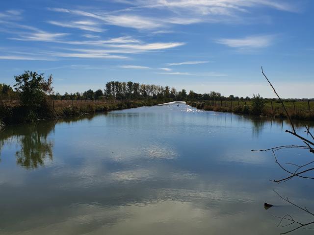 Randonnée - Communal Poiré-sur-Velluire dans le Marais poitevin