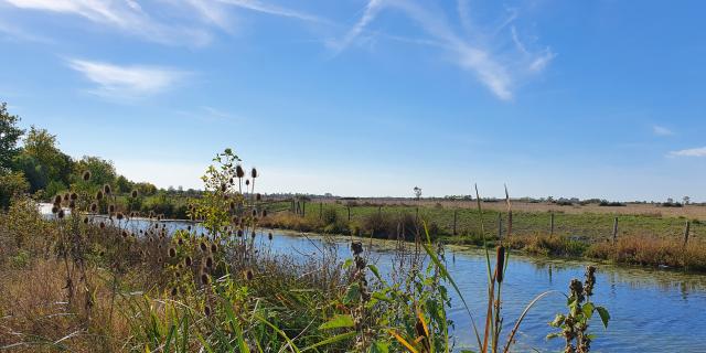 Randonnée - Communal Poiré-sur-Velluire dans le Marais poitevin