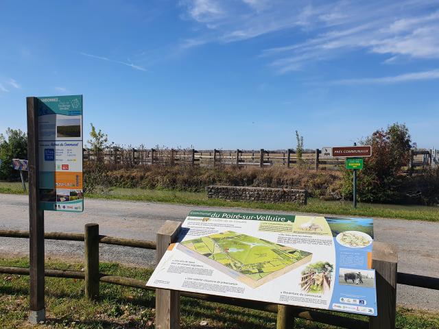 Randonnée - Communal Poiré-sur-Velluire dans le Marais poitevin