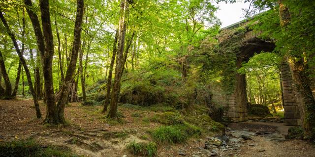 Forêt de Mervent-Vouvant pont du Déluge