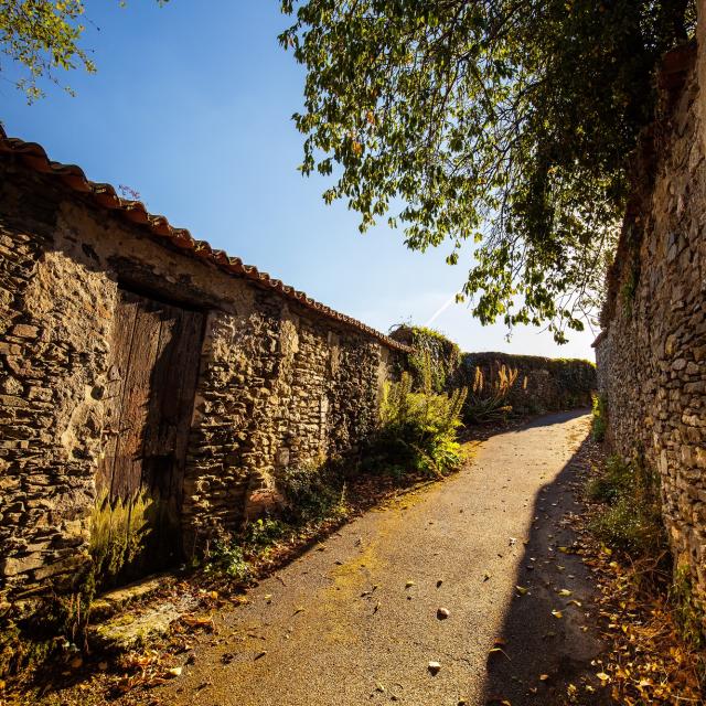 Vouvant Ruelles Cité Médiévale Fontenay Vendée 85 2