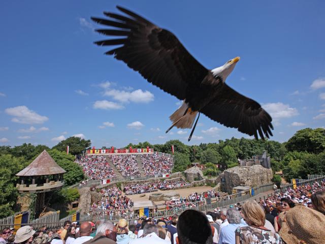 Le Bal des Oiseaux Fantômes Puy Du Fou