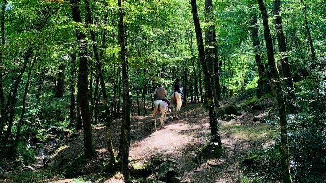 randonnée équestre fontenay-vendée