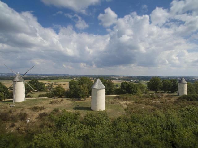 Colline Des Moulins Bocage Vendée