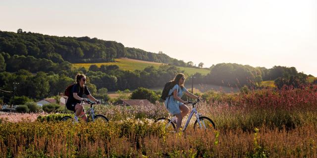 Balade à Vélo en Vendée bocage, forêt et Marais poitevin