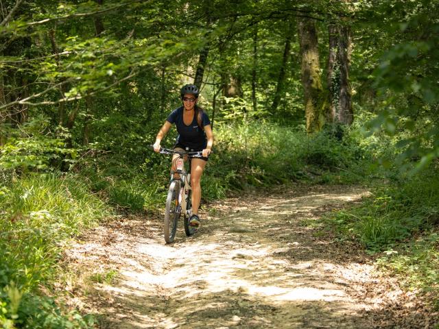 VTT dans la forêt de Mervent Vouvant