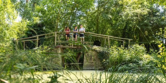 Randonnées pédestres dans le Marais poitevin Vendée