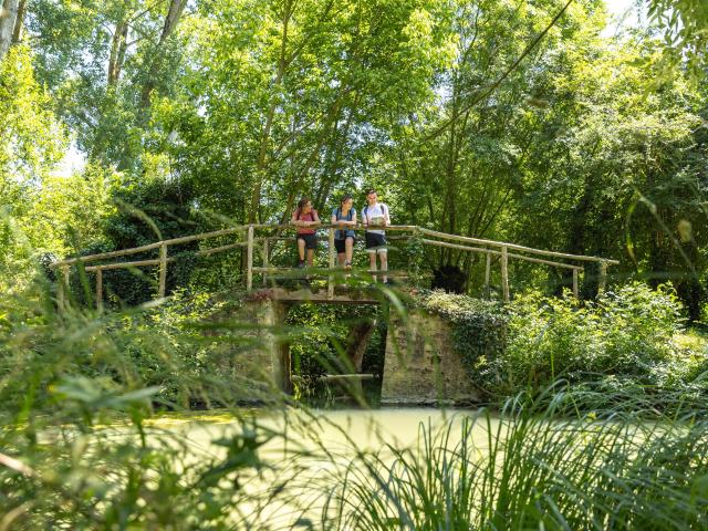 Randonnées pédestres dans le Marais poitevin Vendée