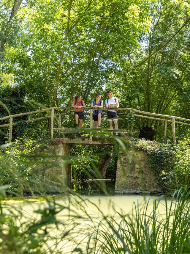 Randonnées pédestres dans le Marais poitevin Vendée