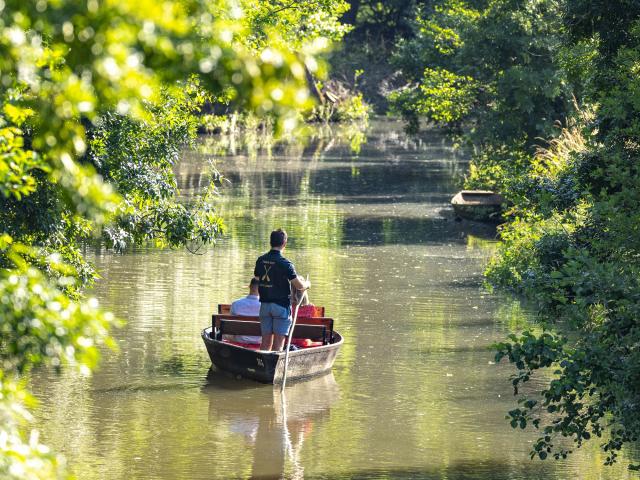 Visite du Marais poitevin en barque avec batelier en pleine Venise Verte