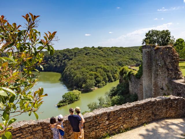 Découverte de la forêt de Mervent-Vouvant en Vendée