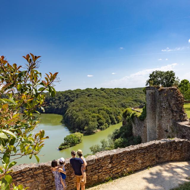 Découverte de la forêt de Mervent-Vouvant en Vendée