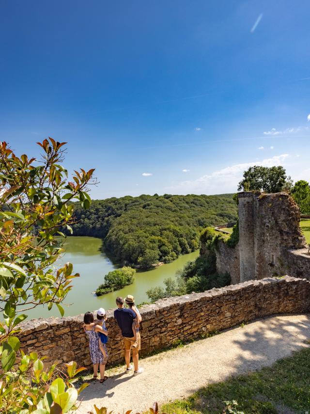 Découverte de la forêt de Mervent-Vouvant en Vendée