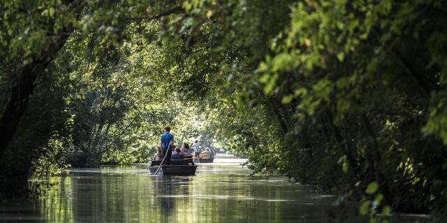 Balade en barque dans le Marais poitevin, Venise Verte