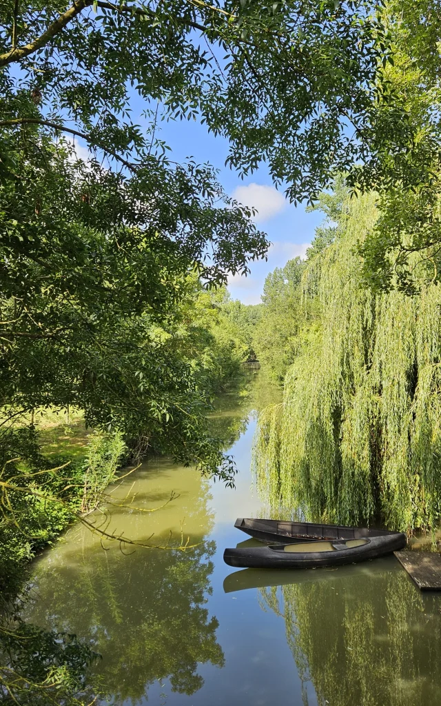 Canoe Marais Poitevin En Vendee