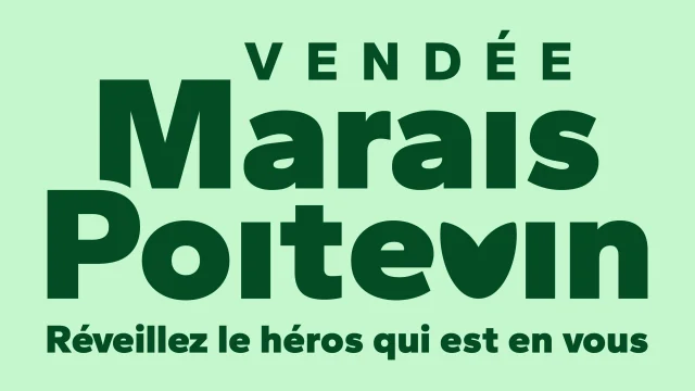 Logo vert sur vert principal - V3