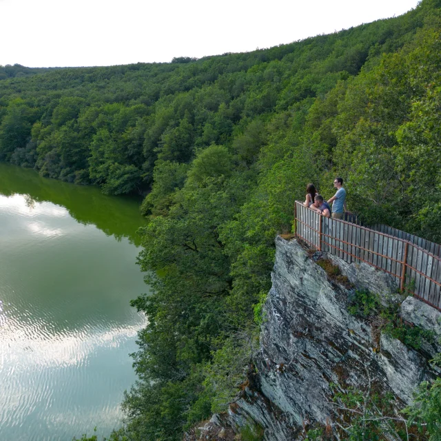 Vue du belvédère de Pruneau forêt de Mervent-Vouvant